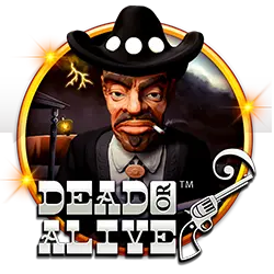 7jl casino login what does the song i bet on losing dogs by mitski mean